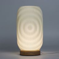 Nieuwe Wave Lamp – Modern Gedraaid