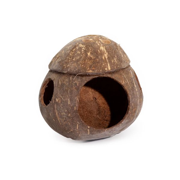 Natuurlijk Kokosnoot Vogelhuisje - met Haak - 13cm