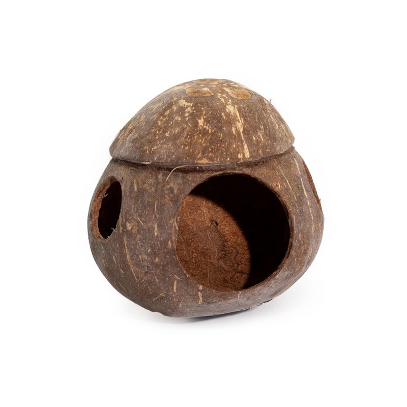 Natuurlijk Kokosnoot Vogelhuisje - met Haak - 13cm