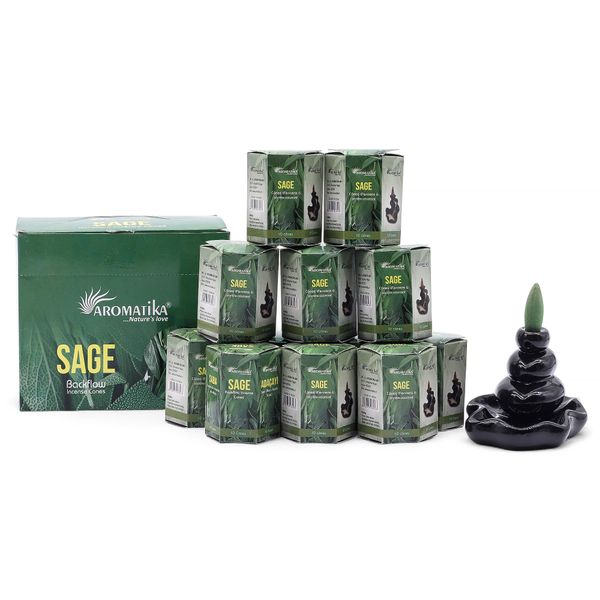 Pak van 10 Masala Terugstroom Wierook - Salie