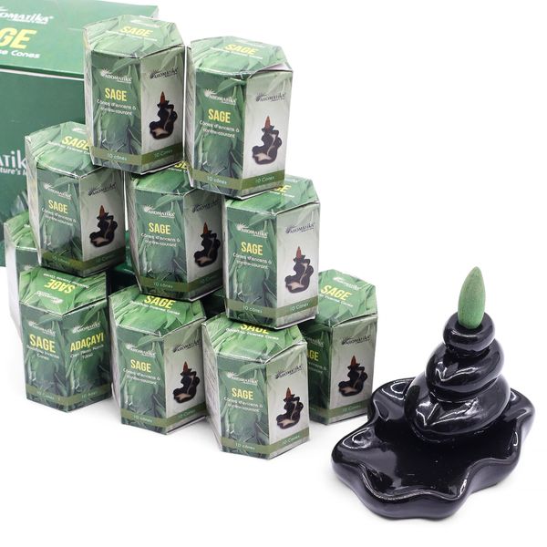 Pak van 10 Masala Terugstroom Wierook - Salie