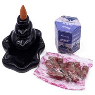 Pak van 10 Masala Terugstroom Wierook - Everest