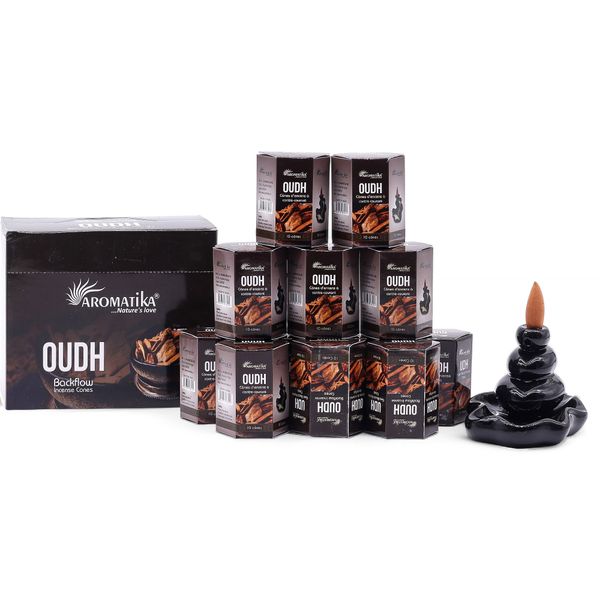 Pak van 10 Masala Terugstroom Wierook - Oudh