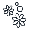 Zeepbloemen