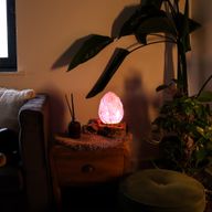DriftGlow Lamp Crackle Lotusbloem Kap – Paars