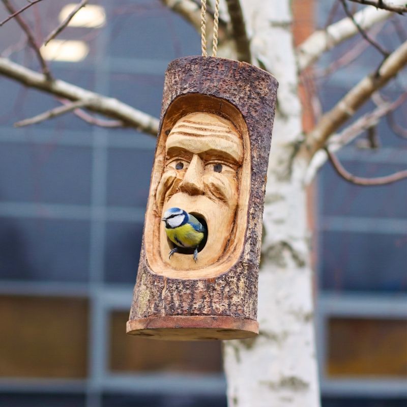 Boomstam Gezicht - Vogelhuisje - Chagrijnige Oude Man