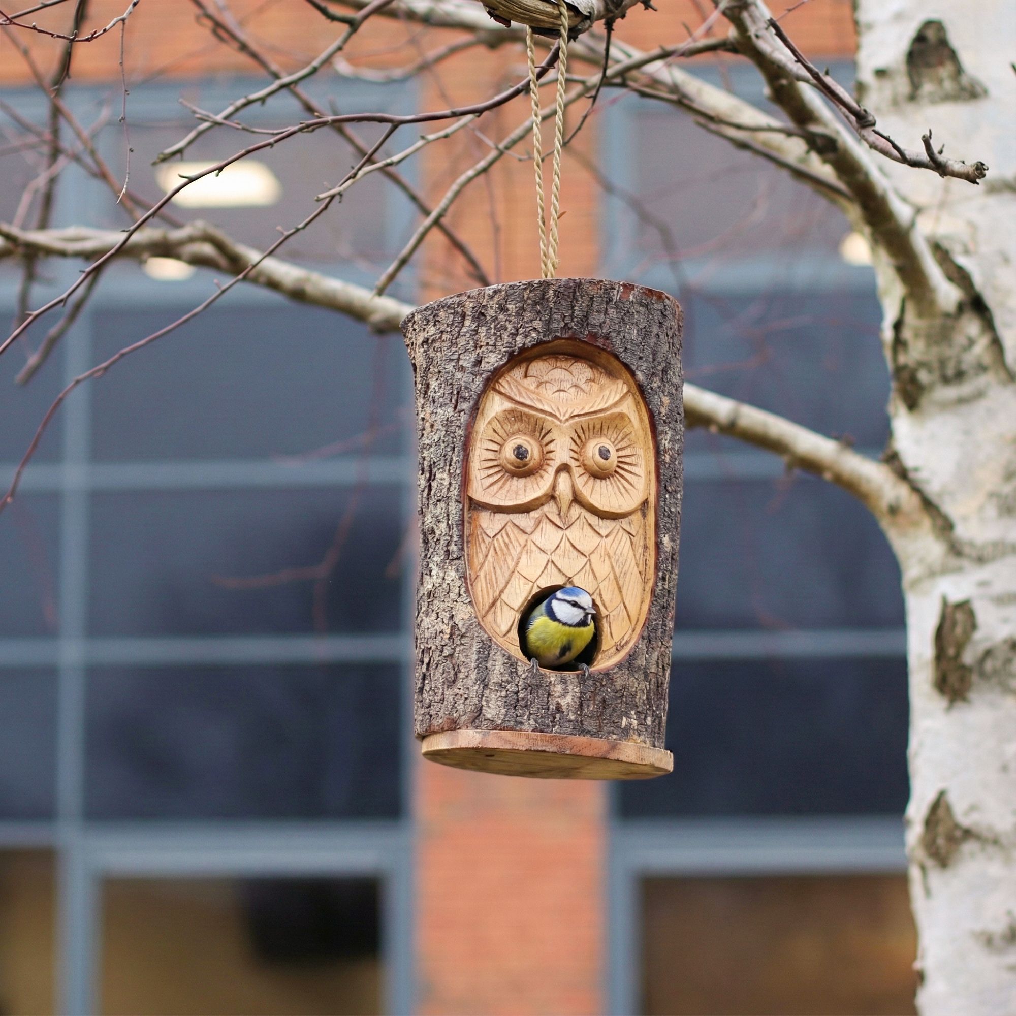 Zeegras Vogelhuisjes