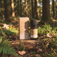 Etherische Olieblend - Windermere - Citroen, Tea Tree & Pepermunt