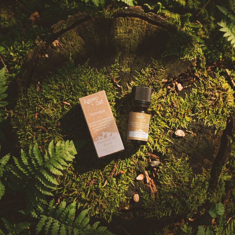 Etherische Olieblend - Windermere - Citroen, Tea Tree & Pepermunt