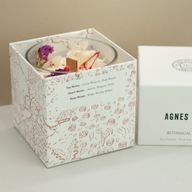Agnes + Cat Botanische Sojakaars – Roses of Sawrey