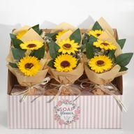 Verkoopklare Zeepbloemen – Boeket met Twee Zonnebloemen