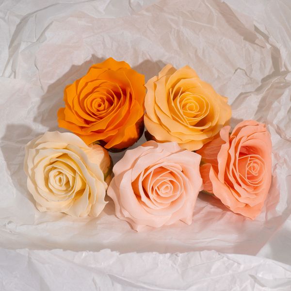 Ambachtelijke Zeepbloem – Romantische Roos – Geleidelijk Kleurenpalet – Perzikroze