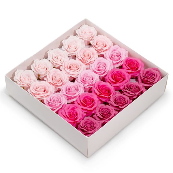 Ambachtelijke Zeepbloem – Romantische Roos – Geleidelijk Kleurenpalet – Roze Blush