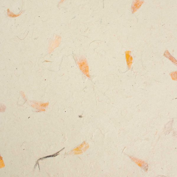 A4 – Lokta Handgeschept Papier (20 vellen) – Goudsbloem