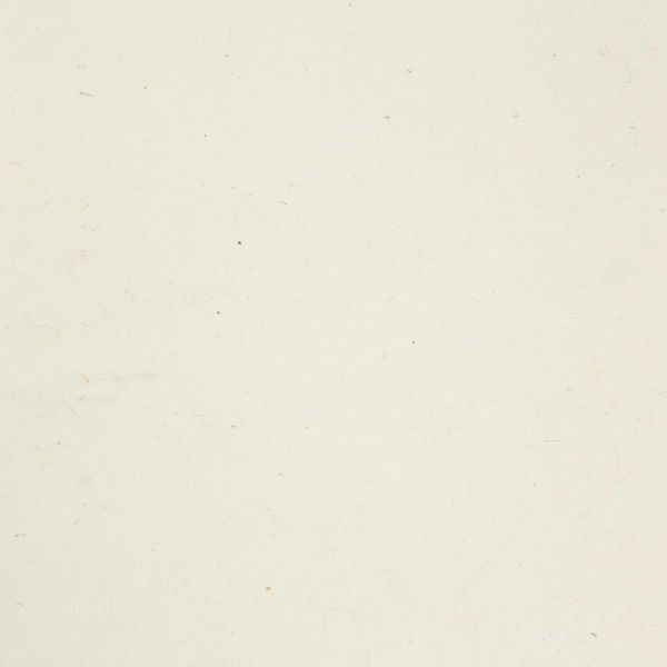 Lokta Ambachtelijk / Cadeaupapier (51x76 cm) – Gemengd Gras