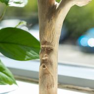 Handgemaakt Parasithouten Kunstsnijwerk - Greenman