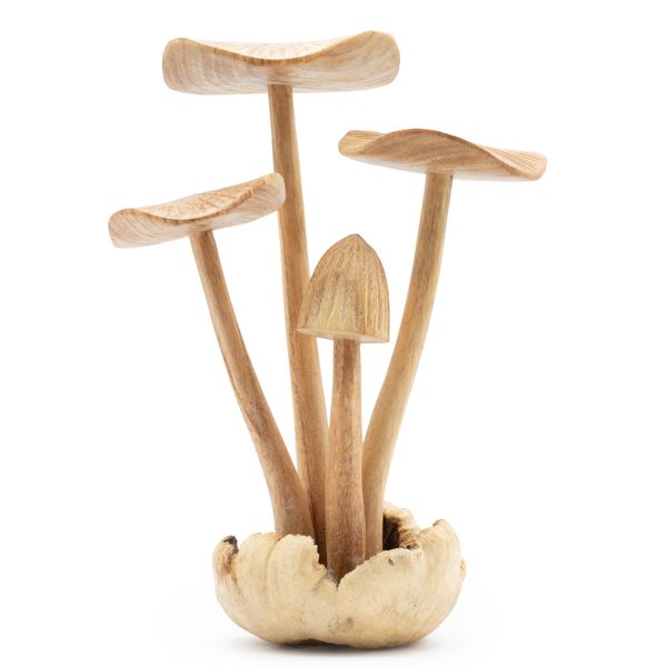 Handgemaakt Parasithouten Kunstsnijwerk - Set van 4 Grote Paddenstoelen