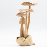 Handgemaakt Parasithouten Kunstsnijwerk - Set van 4 Grote Paddenstoelen