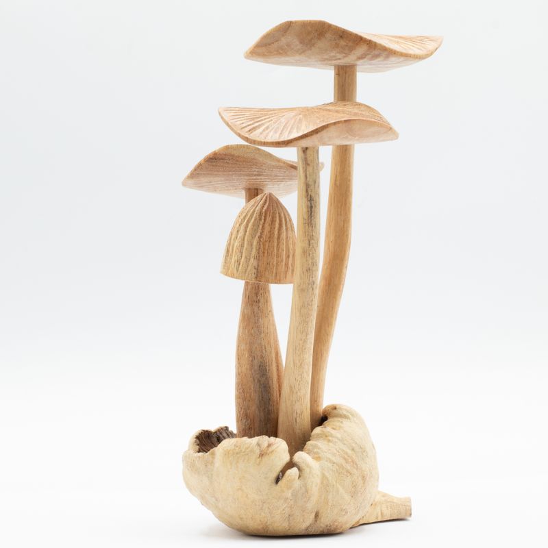 Handgemaakt Parasithouten Kunstsnijwerk - Set van 4 Grote Paddenstoelen