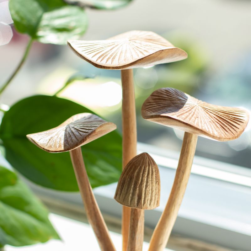 Handgemaakt Parasithouten Kunstsnijwerk - Set van 4 Grote Paddenstoelen
