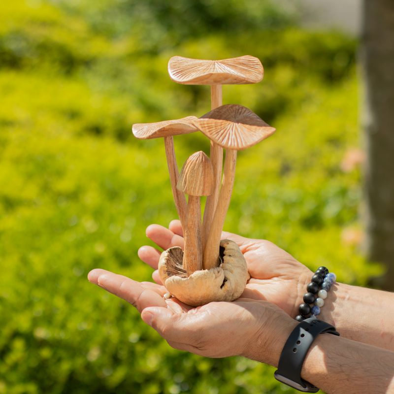 Handgemaakt Parasithouten Kunstsnijwerk - Set van 4 Grote Paddenstoelen