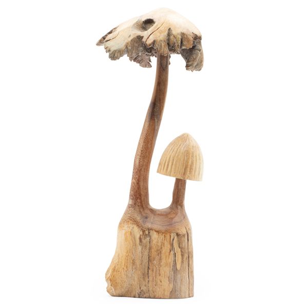 Handgemaakt Parasithouten Kunstsnijwerk - Set van Twee Paddenstoelen