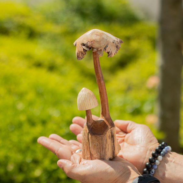 Handgemaakt Parasithouten Kunstsnijwerk - Set van Twee Paddenstoelen