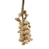 Kenari Schelp Lange Rassel (50 Schelpen)