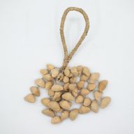 Kenari Schelp Lange Rassel (50 Schelpen)