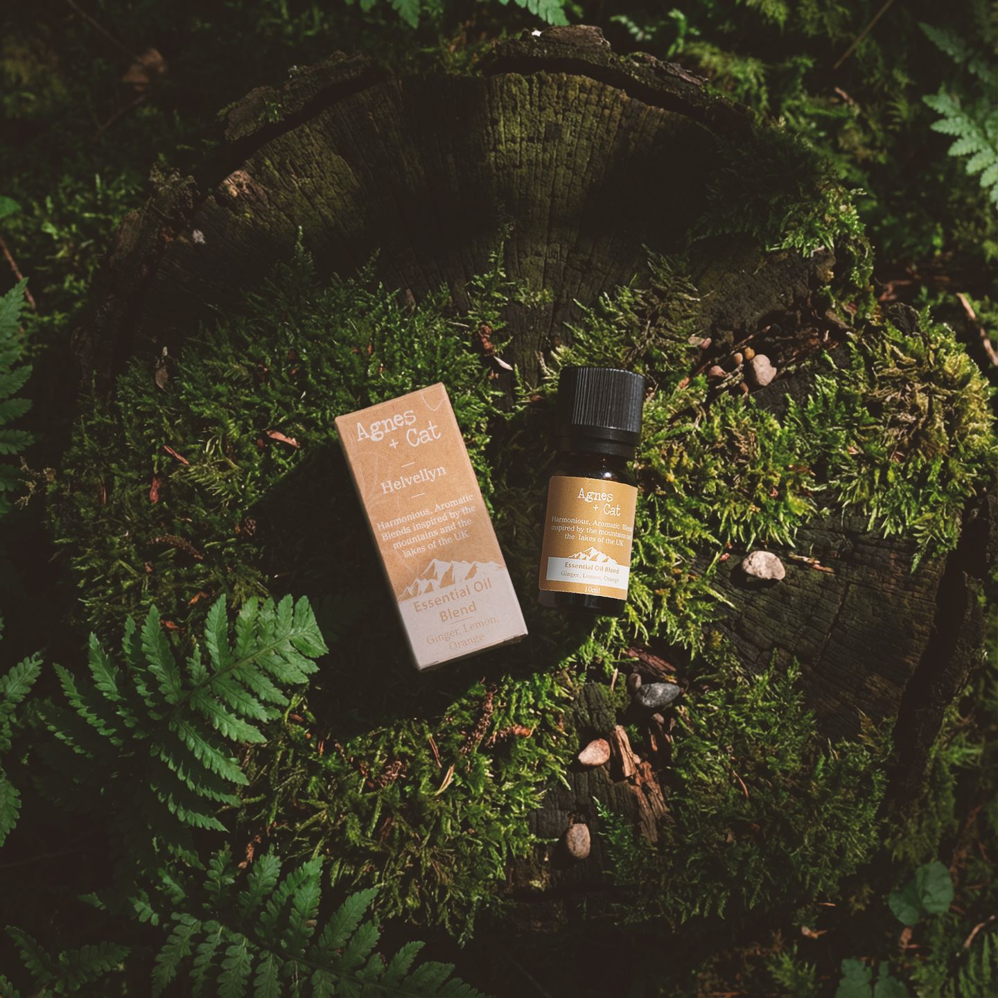 Agnes + Cat Etherische Oliemengsels