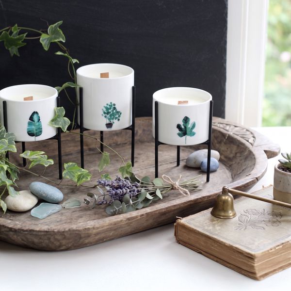 Botanische Soja Kaarsen Met Houten Lont
