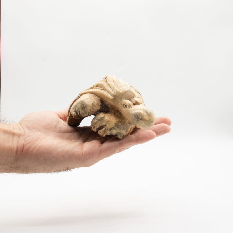 Handgemaakte Parasiet Houtkunstwerk - Oceaanbewakende Octopus