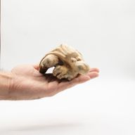 Handgemaakte Parasiet Houtkunstwerk - Oceaanbewakende Octopus