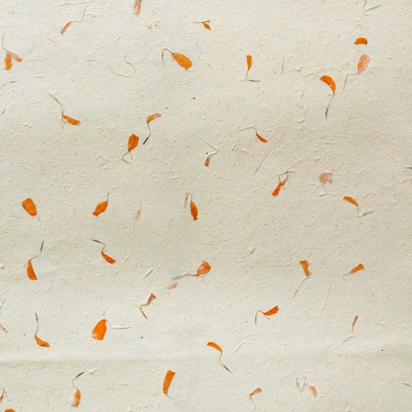 Lokta Craft / Inpakpapier (51x76cm) - Goudsbloem