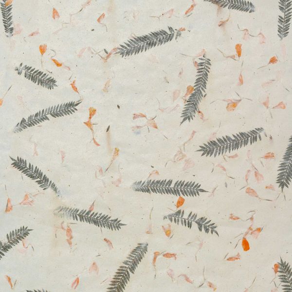 Lokta Craft / Inpakpapier (51x76cm) - Gras