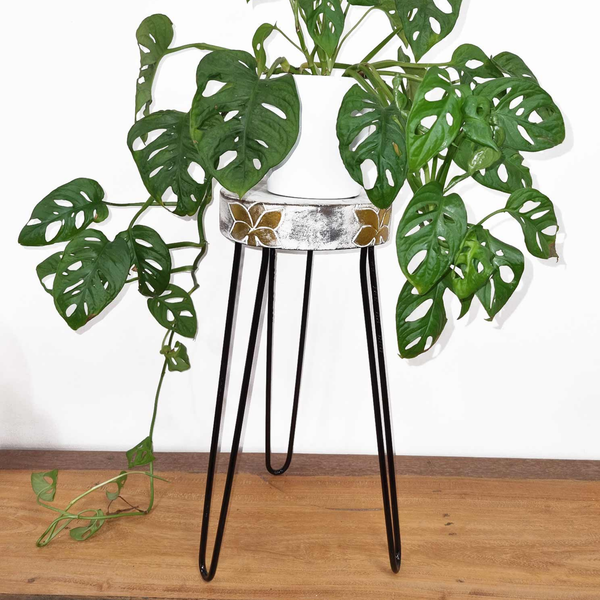 Albasia Houten Plantenstandaards