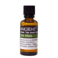 Biologische Tea Tree essentiële olie 50 ml