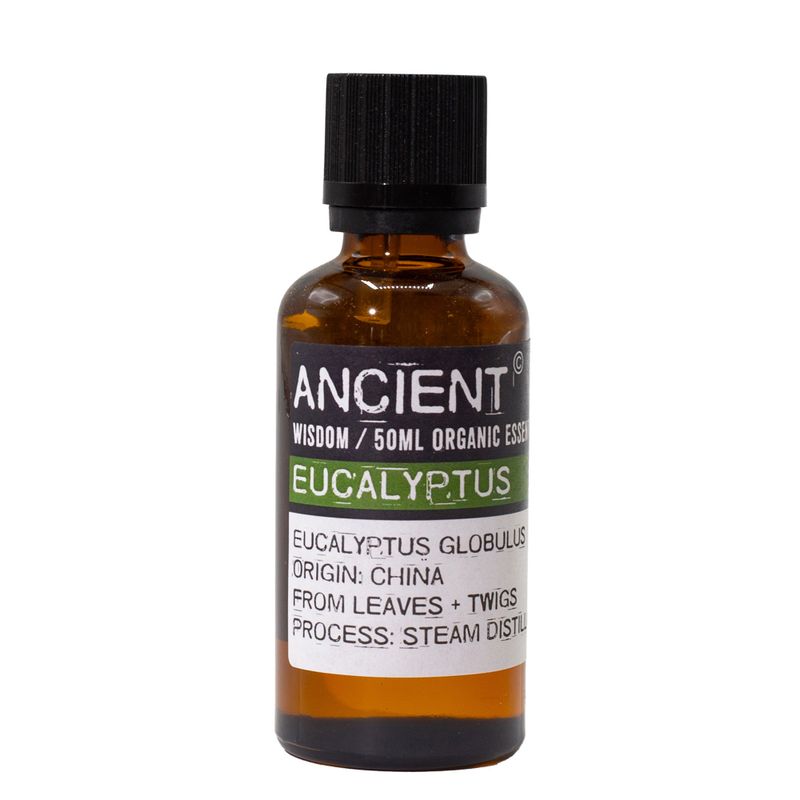 Eucalyptus Biologische Etherische Olie 50 ml