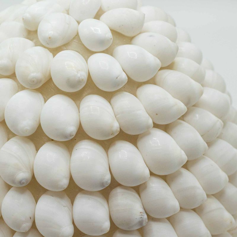 Boho zeeschelpenlamp - Buting Shell Oval - 15 cm