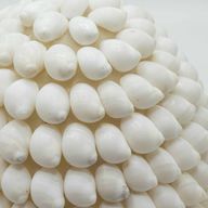 Boho zeeschelpenlamp - Buting Shell Oval - 15 cm