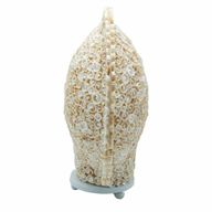 Boho Zeeschelp Lamp - Gesneden Kunstschelp - Groot Rond - 30 cm