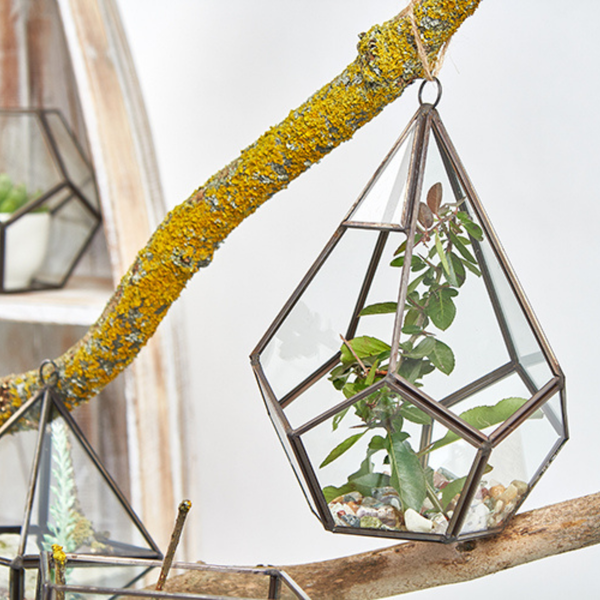 Glazen Terrarium