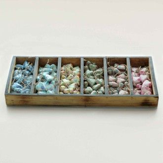 Kleine Decoratieve Houten Harten Starterset