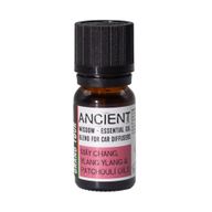 10ml aromatherapie autoblend - Grand Tour