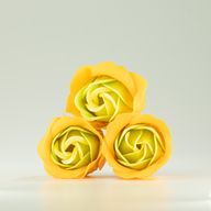 Doos met 3 zeepbloemen - Lenterozen