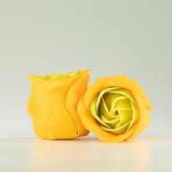 Doos met 3 zeepbloemen - Lenterozen