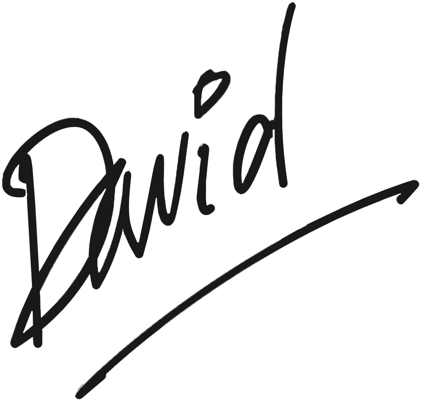 David's Signature_1-3.png