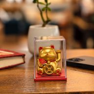 Mini Zonne-energie Geldkat in Doos - Goud