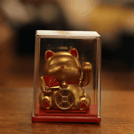 Mini Zonne-energie Geldkat in Doos - Goud