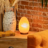 Zoutlamp Ei - Houten Basis